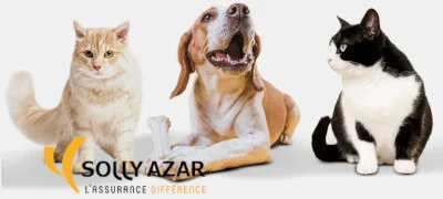 assurance-chien-chat-solly-azar